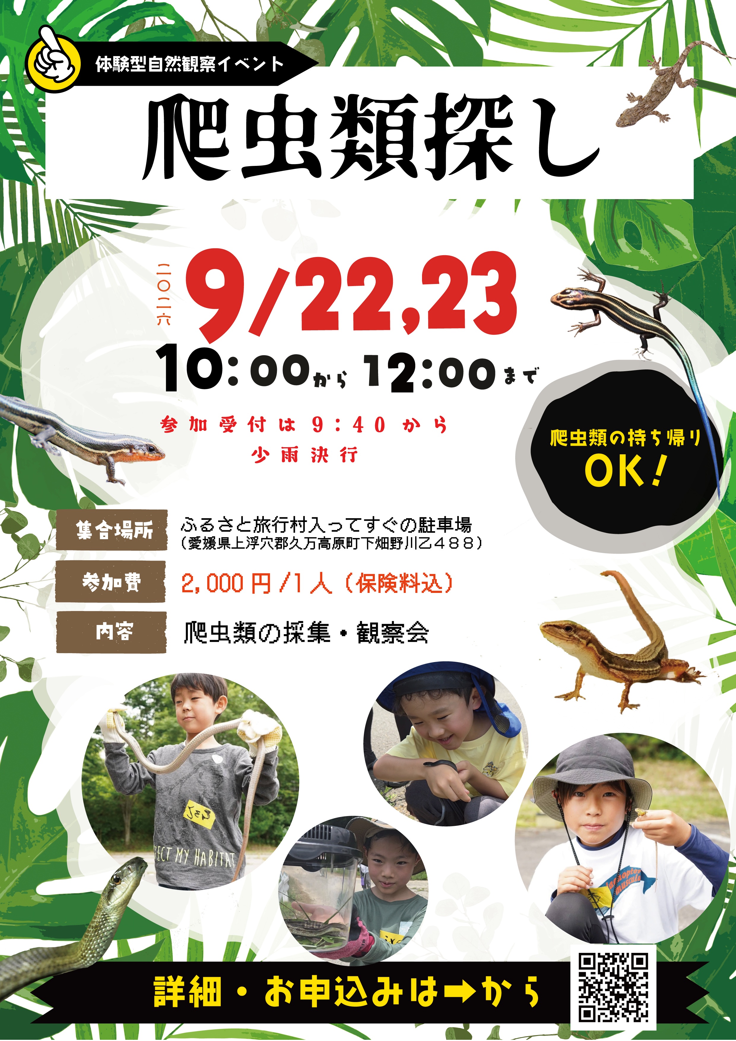 【爬虫類探し 第2弾】 久万高原町で生きもの探しの冒険を満喫しよう 【愛媛/久万高原町】