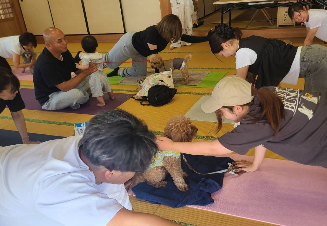 【第5回 みんなのマルシェ in 安養寺】 歴史とやさしさに包まれる秋のマルシェでグルメも体験も満喫しよう 【愛媛/新居浜市】