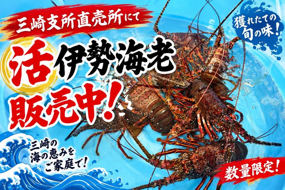 【MASAKI EXPO2026】 まさき村で秋の味覚と松前町の魅力を満喫しよう【愛媛/松前町】