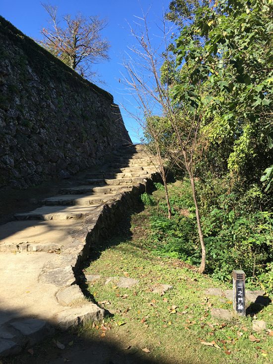 この階段途中で振り返り撮る宇和島城が、一般的なポイントだそうです。
