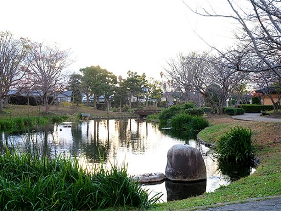 ひょうたん型の池が広がる、とてものどかな公園です。