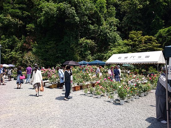 敷地内の苗木等の販売コーナー。ここだけでも立派な展示会場のよう。