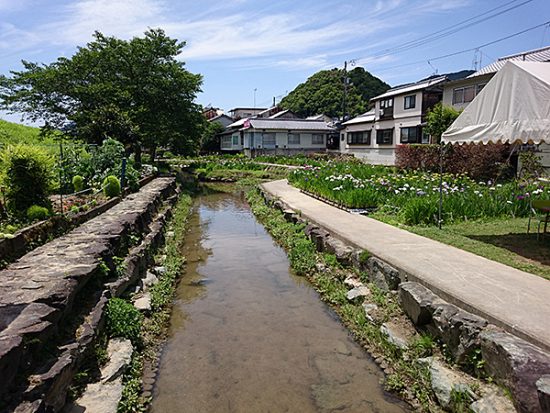 小川が流れる、しょうぶ園。右側のテントは休憩所です。