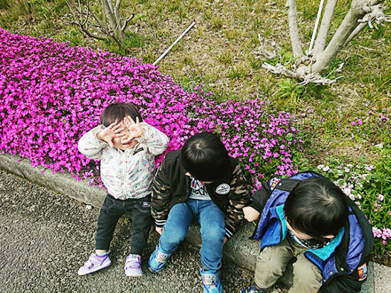 会場の花壇のお花も満開でした