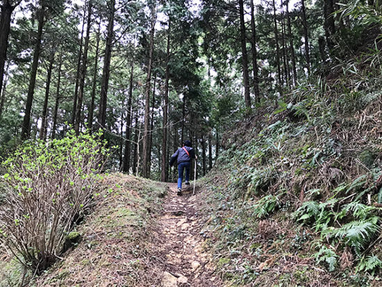 あっと言う間に引き離されます。