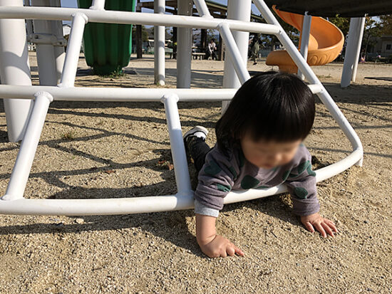 東垣生公園の複合遊具の下でモゾモゾ…