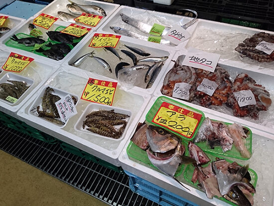 新鮮な海産物が並んでいます。