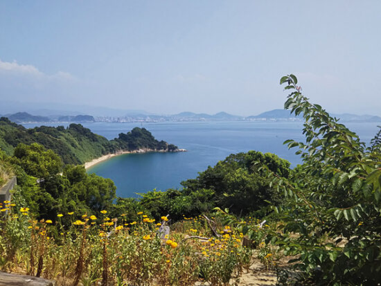 晴れれば松山空港のあたりが見えます