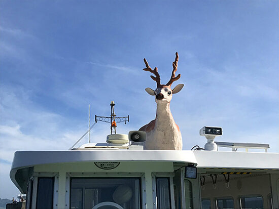 鹿島渡船の屋根にも鹿が。