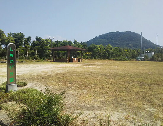 泊港の公園の原っぱ