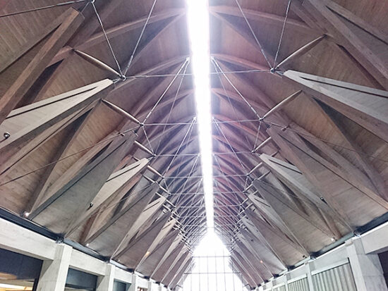 ロビーから見上げた、博物館の天井。開放的な造りです。