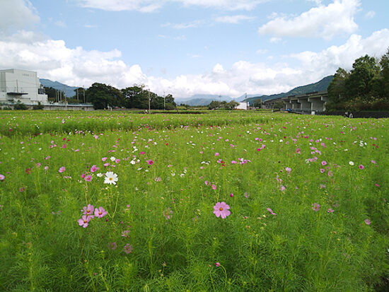 秋の空と雲と風が心地いい。