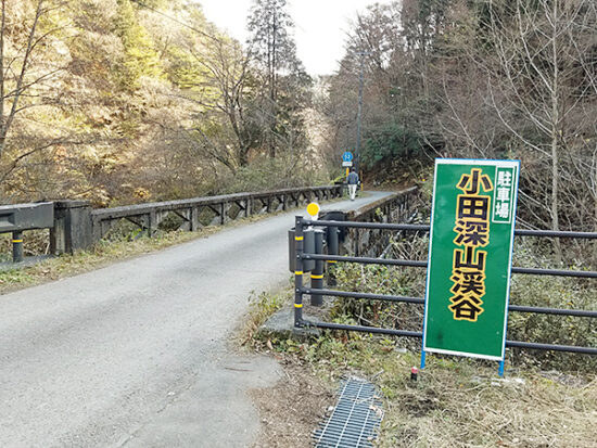 遊歩道への入り口。