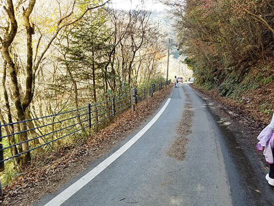 道路側の遊歩道。