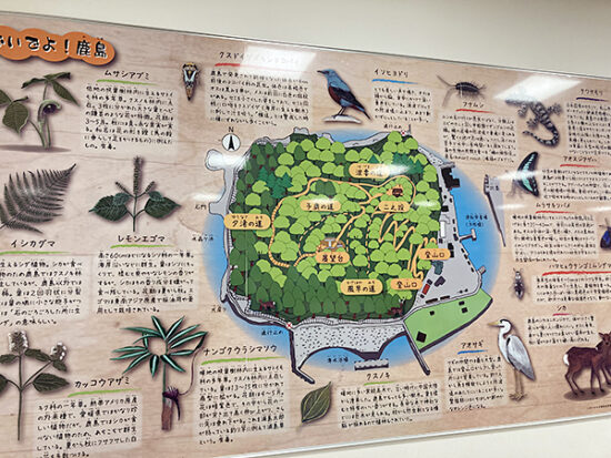 常設展示室には、「鹿島」に生息する動物や植物の案内板が。