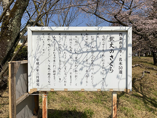 武丈公園の桜は名木50選に選ばれています
