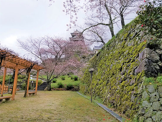 休憩所から見たお城と桜の景色。