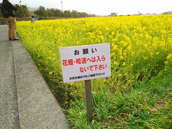 注意書の看板。