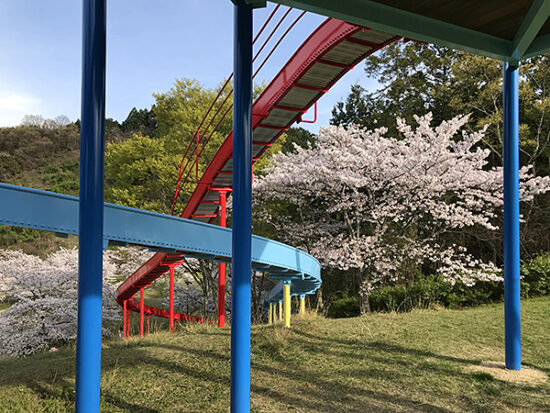 桜を眺めつつ楽しめる滑り台。