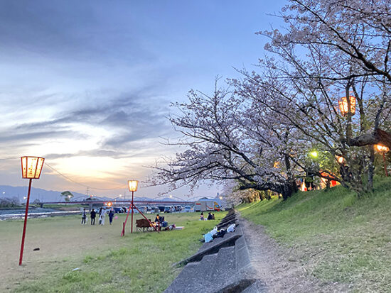 夕日が沈むころの加茂川河川敷
