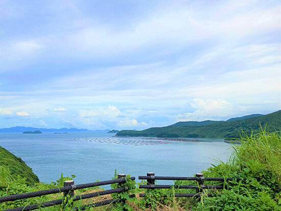 自然豊かな愛南町の海