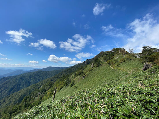 山景色