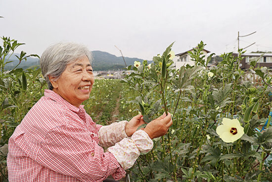 「節間（せっかん）」の説明をしてくださる奥さん