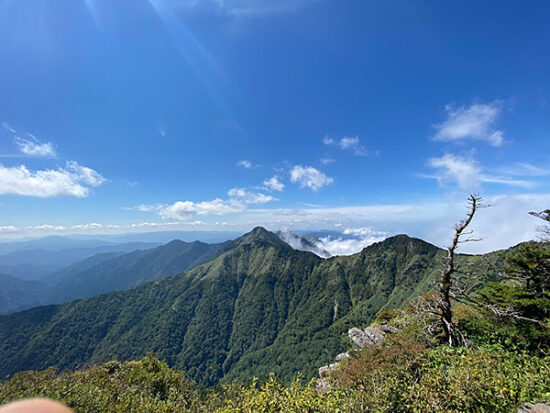 山頂からの景色