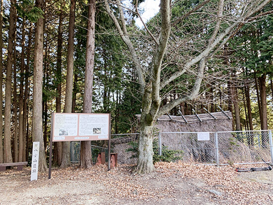 山頂には、弥生時代の高地性集落の遺跡も。