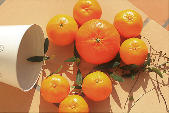 大きい順に“かんぺい”“せとか”“はるみ”。全て尾崎農家さんの柑橘