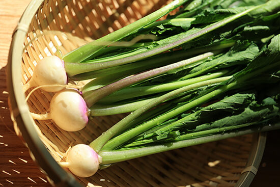 新鮮さが葉や茎の勢いにも出てます、美味しそう～