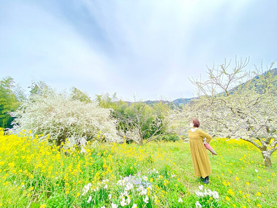 水仙も咲いて春は花に囲まれて幸せですね～