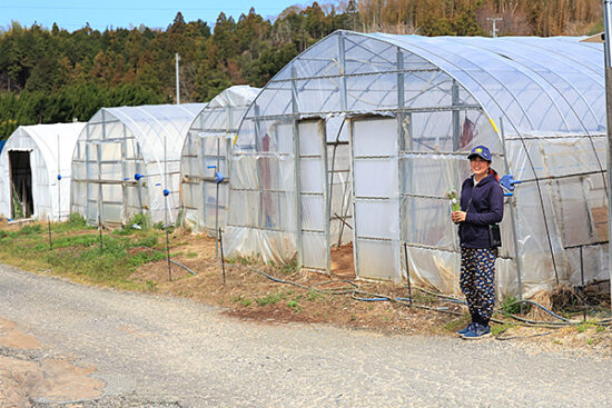 倉橋さんの仕事場、ハウスの前で。風通しも日当たりも良好！