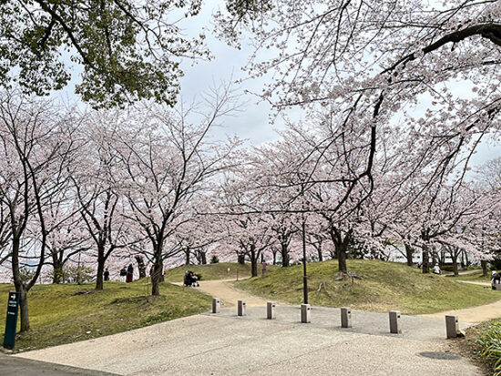 地域の方は桜園のことを広瀬公園と呼びます
