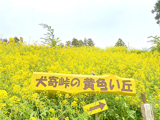 道中も黄色い看板を目印に進んでくださいね