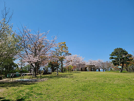 『展望塔』前の『展望広場』の桜の様子