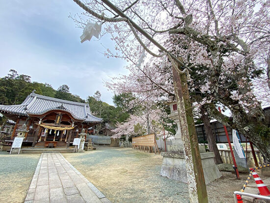 立派な本殿には稲荷大神（五柱の神様）が祀られています