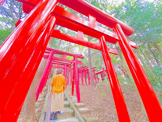 たくさんの朱塗りの鳥居が立ち並びます