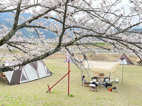 加茂川の河川敷でキャンプやピクニックも◎