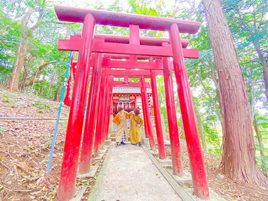 森の中の朱色の鳥居は幻想的でした