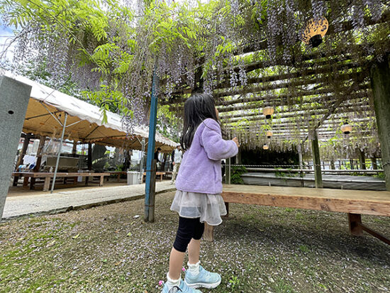 「鬼滅の花や～！」と大喜び