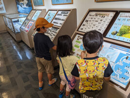 愛媛県久万高原町にある面河山岳博物館で自由研究のネタ探し