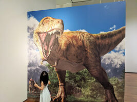 ティラノサウルス～進化の謎にせまる～に行ってきた！＠愛媛県立美術館