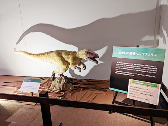 最古の大型肉食恐竜ヘレラサウルス