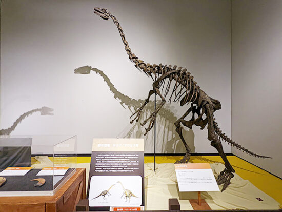 謎の恐竜テリジノサウルス