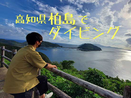 高知県柏島 海の生き物のサンクチュアリ 柏島でダイビング イマナニ