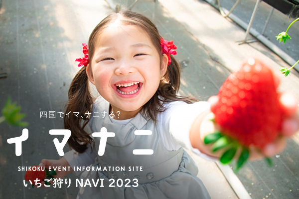 四国 いちご狩りNAVI 2023 【愛媛・香川・徳島・高知】 | イマナニ