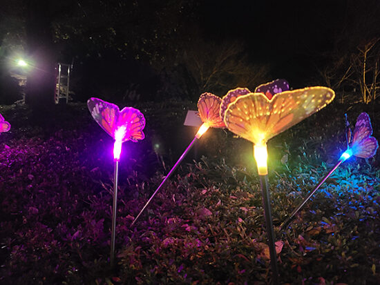 花壇にも光り輝く蝶々がいっぱい！