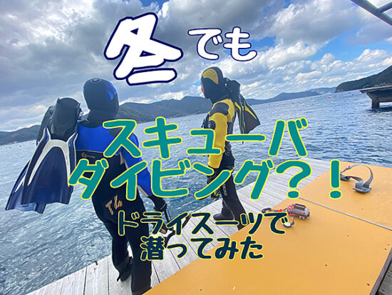 冬でもスキューバダイビング？！ ドライスーツで潜ってみた！！ 【高知 