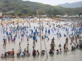 海と光と夢の祭典 サマーフェスタinかみうら 愛媛/今治市】上浦町の夏